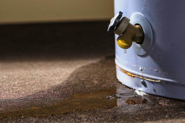 Trusted Greensboro, MD Water damage restoration Experts