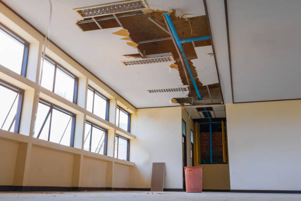 Best Ceiling water damage repair  in Greensboro, MD