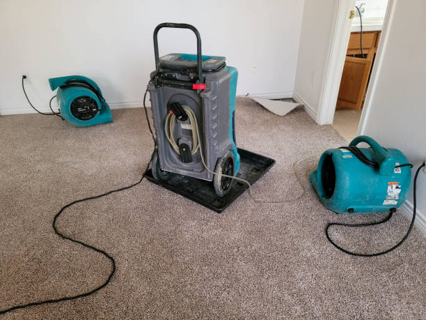 Greensboro, MD Water damage restoration Company