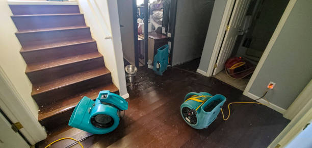 Best Professional water damage repair  in Greensboro, MD
