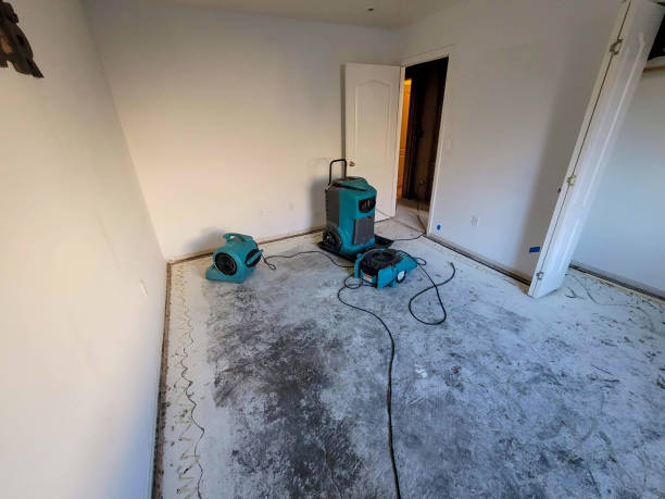 Best 24-hour water damage restoration  in Greensboro, MD