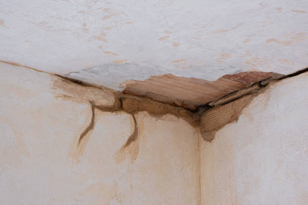 Best Local water damage restoration  in Greensboro, MD