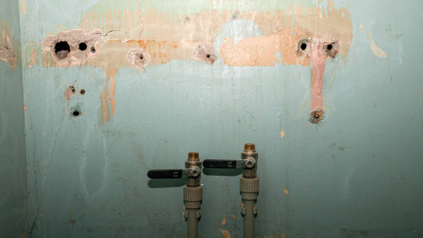 Water damage restoration process in Greensboro, MD