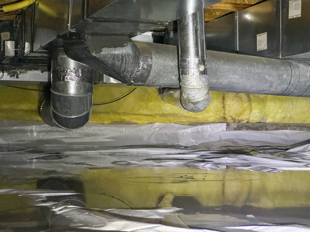 Best Flood damage cleanup  in Greensboro, MD