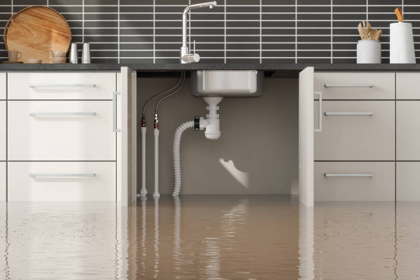 Best Sewage cleanup and water damage restoration  in Greensboro, MD