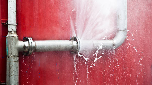 Best 24/7 water damage repair  in Greensboro, MD
