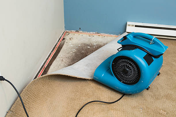 Best Water damage restoration specialists  in Greensboro, MD